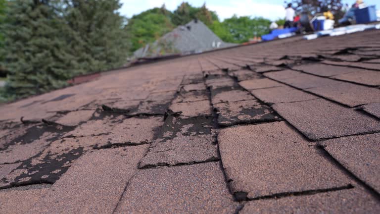 Asphalt Shingles Roofing in South El Monte, CA